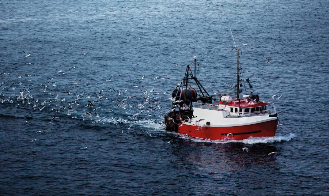 Trawler Boat on the open sea being chased by Seagulls